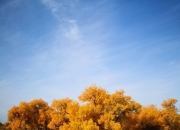 宁夏队鏖战取胜，士气高昂向前冲