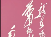 乐鱼体育官网入口-争相奋勇，力求突破，化风为雷，夺魁花重的简单介绍