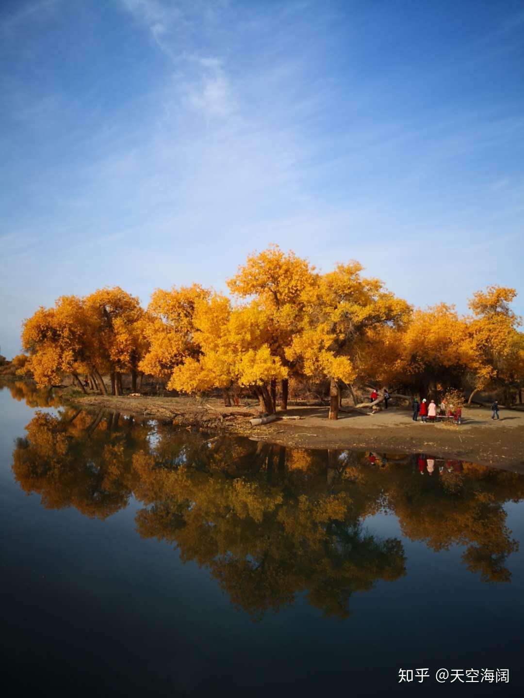 宁夏队鏖战取胜，士气高昂向前冲