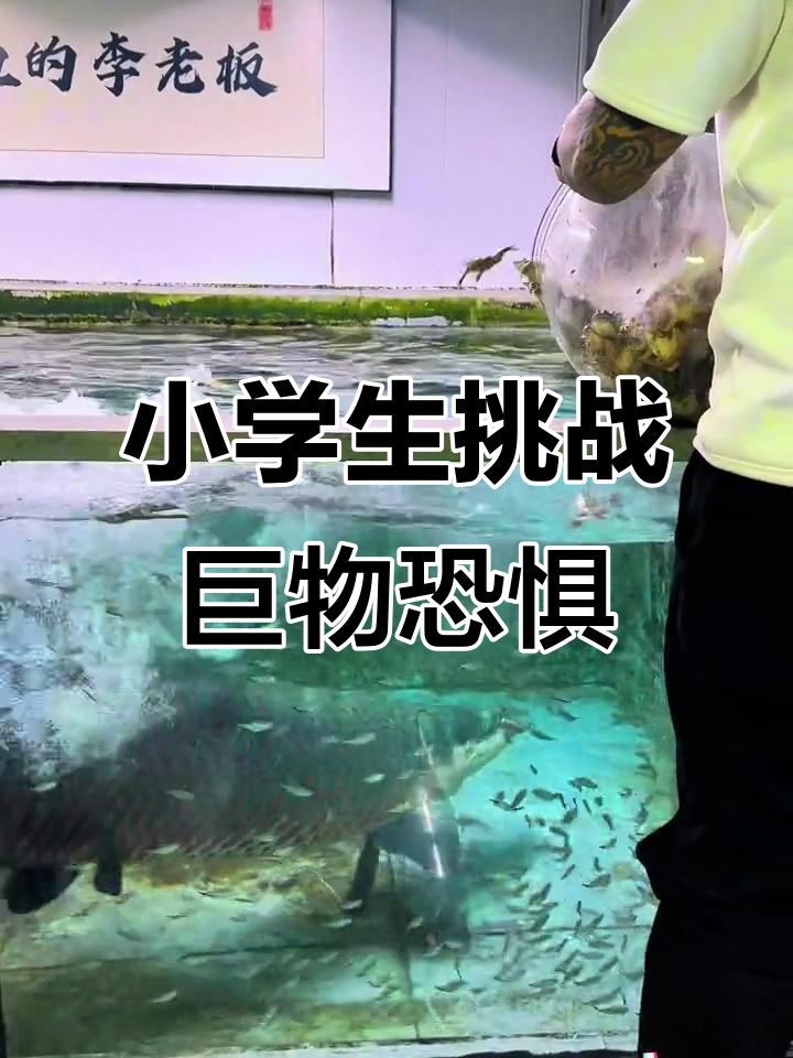 联盟最强对决再掀狂潮,双方胜负悬念的简单介绍 联盟最强对决再掀狂潮,双方胜负悬念的简单介绍