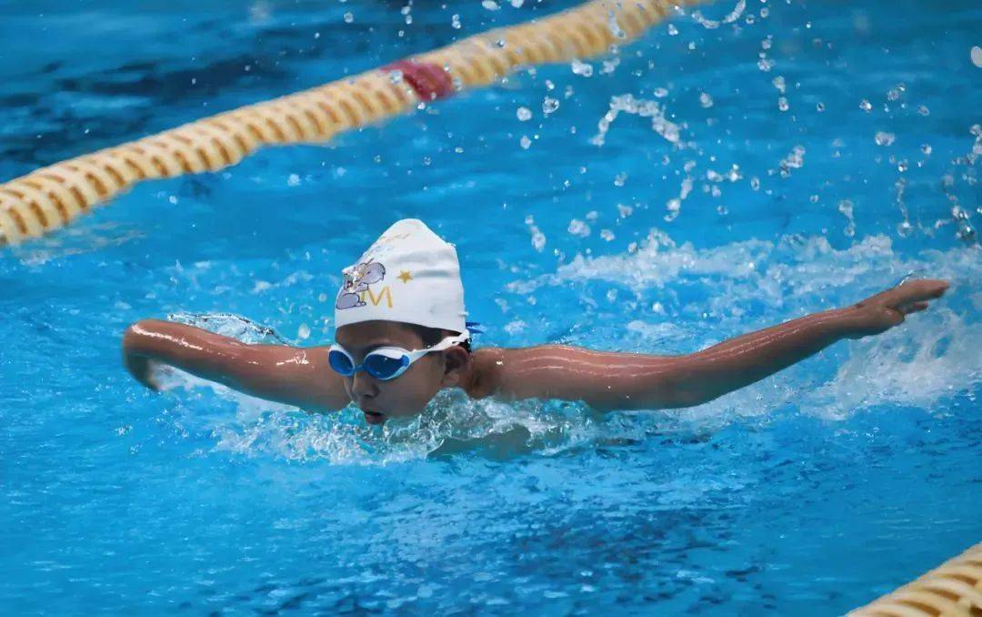 运动员们在场上展现出色技艺，赢得观众赞叹